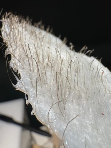 Customer photo review of Mae Mae Hard Wax