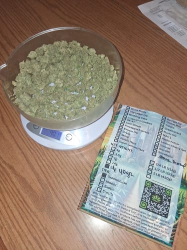 Customer photo review of Moon Pie Light Assist THCA