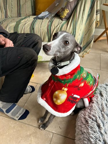 Customer photo review of Sighthound Christmas Tree Warm Fleece Coat / Jumper
