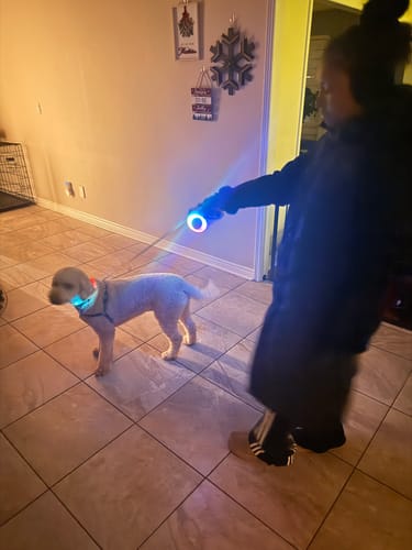 Customer photo review of FIDA LED Lighted Retractable Dog Leash