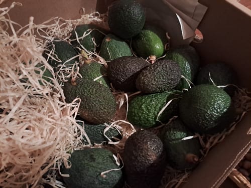 Ein Kunde zeigt eine Kiste voller kleiner Baby-Avocados, die zum Schutz in Holzwolle gebettet sind.