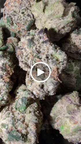 Customer video review of FREE SAMPLE (with code) THCa Flower