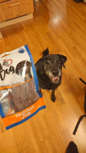 Customer photo review of KIDDOG SUPER PREMIUM 100% Entenbrust
