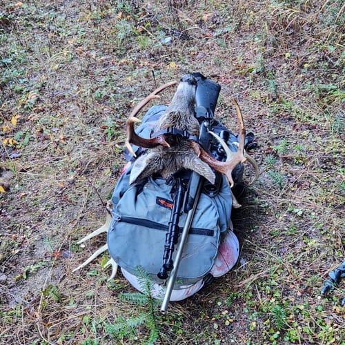 Customer photo review of Spare Webbing Frame Straps