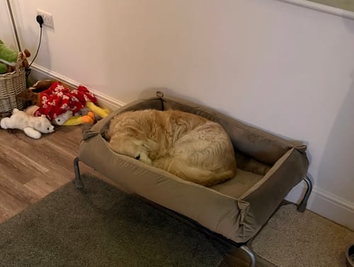 Customer photo review of Mushroom Cuddle Soft & Cedar Velvet Luxury Nest
