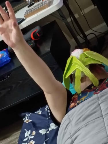 Customer photo review of Indian Moon Moth Plush – Soft, Lifelike, and Perfect for Nature Enthusiasts