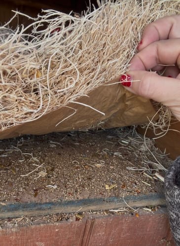 Customer photo review of GrubTerra Coop Refresher. Keeps The Coop Smelling Fresh For Longer!