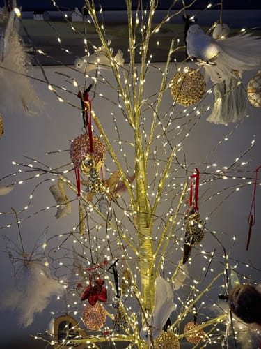 Customer photo review of Allegro Globe Bauble