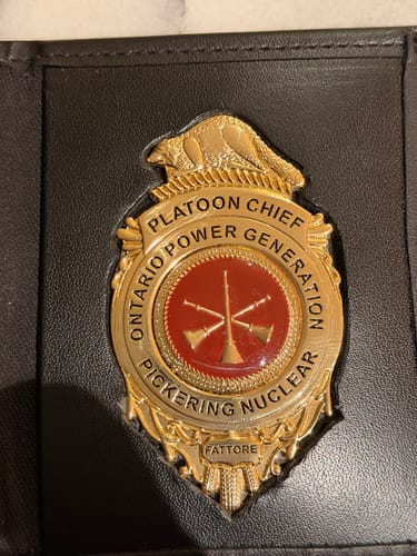 Customer photo review of BD17 Badge
