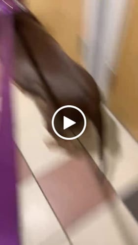 Customer video review of Ladder Combat® Multiple Handles Lead - Purple