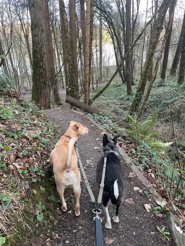 Customer photo review of Leader Pro