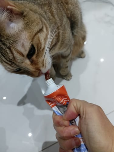 Customer photo review of Kediler İçin Sakinleştirici Macun | Doğal İçerikli Relax Paste ile Stres ve Kaygı Azaltıcı Destek | 100g