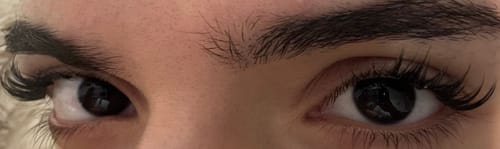 Customer photo review of Manga