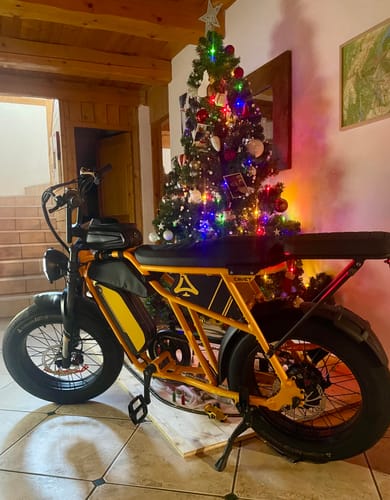 Customer photo review of Gifts Pack(Includs – Foot Peg, Fender & Chainguard!)