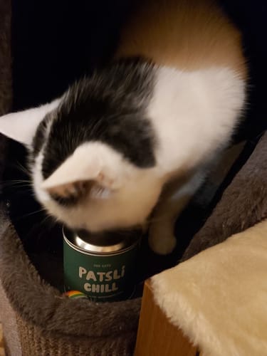 Customer photo review of Patsli® Chill