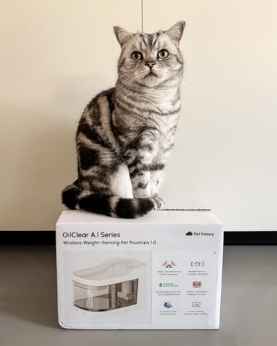 Customer photo review of Wireless Weight-Sensing Pet Fountain