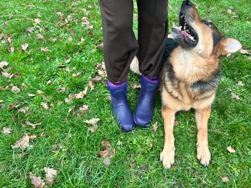 Customer photo review of Blaze Neoprene Wellingtons Purple