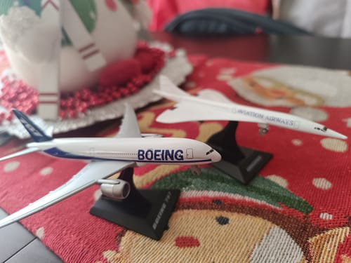 Customer photo review of Avión Boeing 787 - Welly