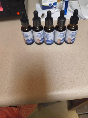 Customer photo review of 5x Blisso Advanced Cat Probiotic (Buy 2 Get 3 Free)