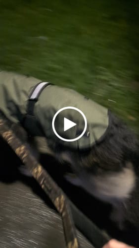 Customer video review of 3-in-1 Dog Coat