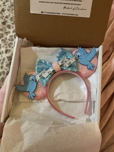 Customer photo review of Cinderella Birds Mickey Ears