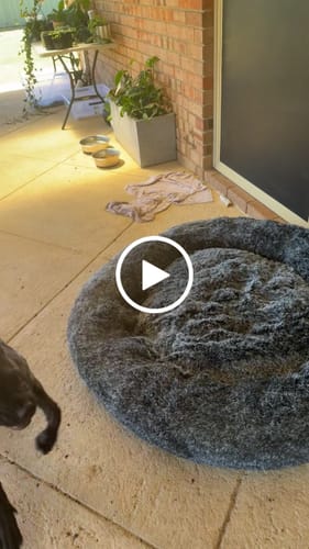 Customer video review of Premium Calming Pet Bed with Removable Cover