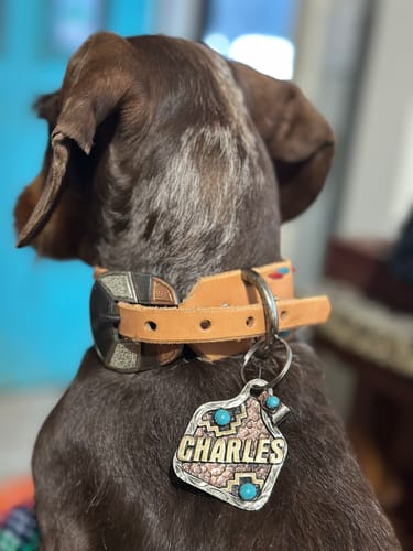 Customer photo review of Dog Tag Style 04