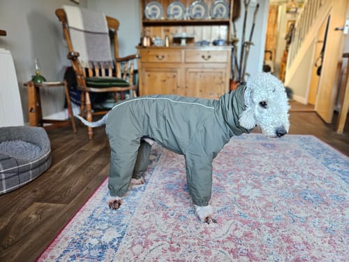 Customer photo review of Explorer Full-Cover Raincoat