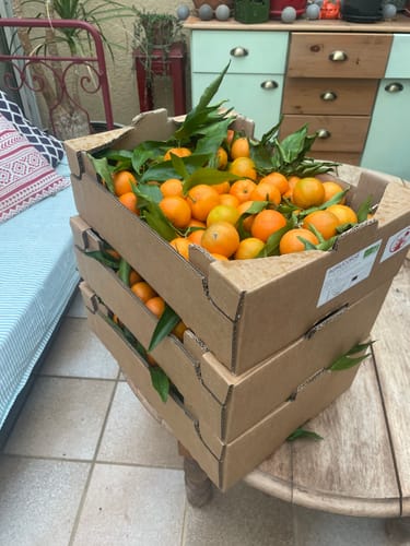 Laura L. review of Clémentines Bio - Origine Corse image 1 out of 1