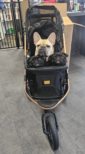 Customer photo review of Sports Large Pet Stroller