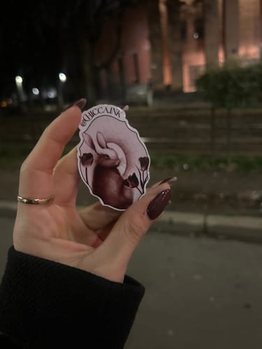 Customer photo review of Sticker Vinile Classico