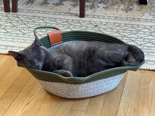 Customer photo review of Instinct Basket | Handwoven & Chemical-Free Cat Territory