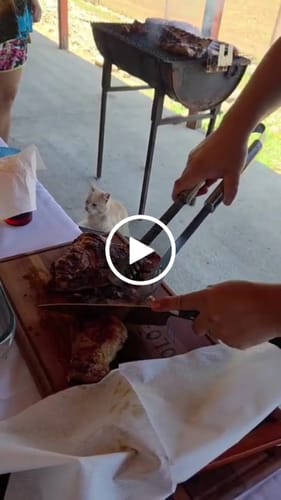 Customer video review of Cuchillo Chef Acero Damasco 67 capas hoja 20 cm PATAGÓN - LLOICA