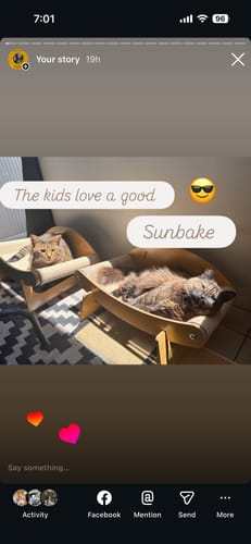 Customer photo review of Multifunctional Crab Shaped Sisal Cat Scratcher Lounge