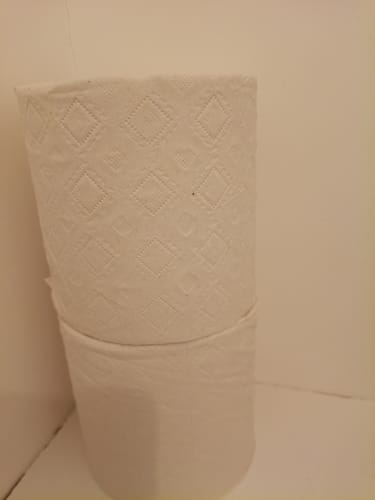 Customer photo review of UK-Made Recycled Toilet Paper – Seriously Sustainable & Plastic-Free
