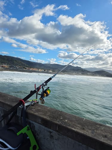 Customer photo review of 12ft "Secret Weapon" Crab Snare/Surf No Excuses Travel Rod, 5-Piece Heavy Action