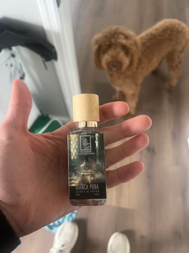 Reviewer's hand holding the Bianca Pura fragrance bottle with its wooden cap indoors.