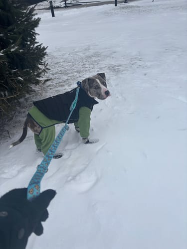 Customer photo review of NEW Fleece Pull-Over