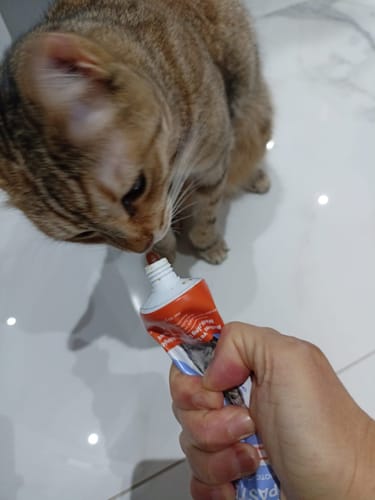 Customer photo review of Kediler İçin Sakinleştirici Macun | Doğal İçerikli Relax Paste ile Stres ve Kaygı Azaltıcı Destek | 100g