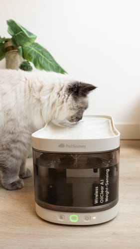 Customer photo review of Wireless Weight-Sensing Pet Fountain