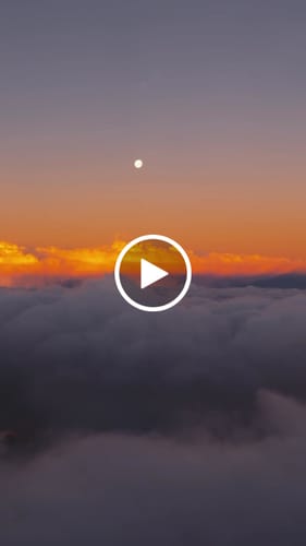 Customer video review of iPhone Apple Log LUTs