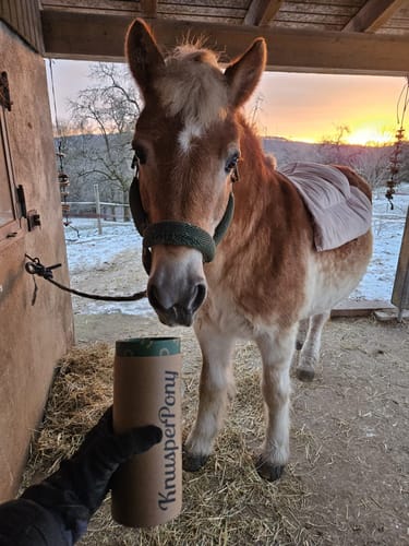 Customer photo review of Hagebutte Pfefferminz I Atemfrei