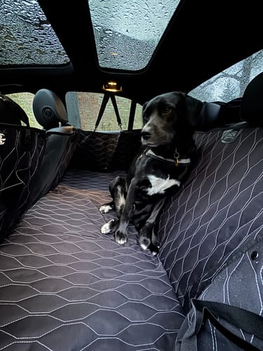 Customer photo review of Rear Car Seat Extender for Dogs