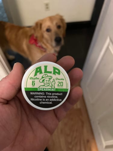 Mike M. review of Spearmint Nicotine Pouches image 1 out of 1