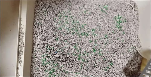 Customer photo review of FreshGuard | Plant-Based & Chemical-Free Odor Elimination