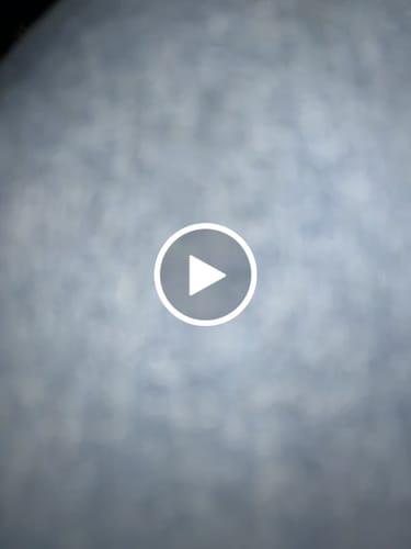 Customer video review of ($25) QUICK ENTRY