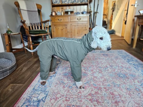 Customer photo review of Explorer Full-Cover Raincoat