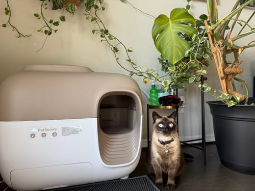 Customer photo review of Self-Cleaning Litter Box