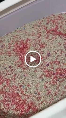 Customer video review of FreshGuard | Plant-Based & Chemical-Free Odor Elimination