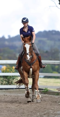 Bethany K. review of LE Universal Cotton Polo Shirt image 1 out of 1